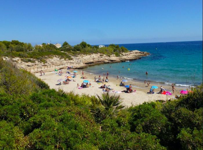 Estudio I Ideal Para Parejas En La Playa Alguer L'Ametlla de Mar Exteriér fotografie
